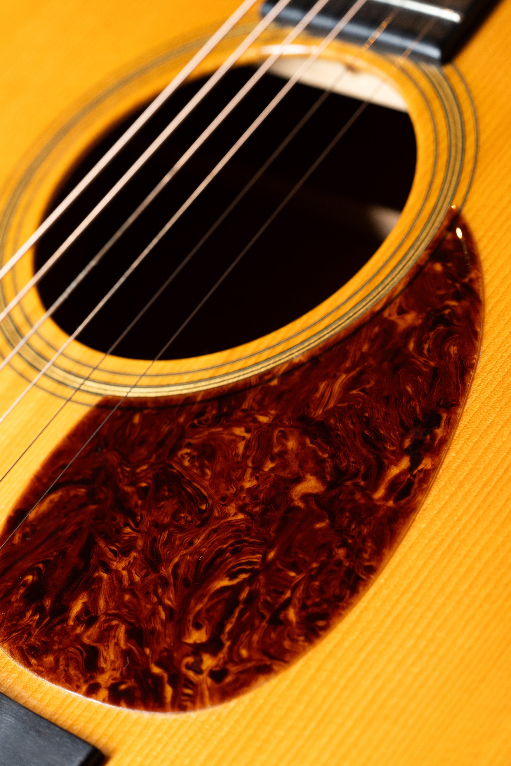 Bourgeois OM V2M (2014)