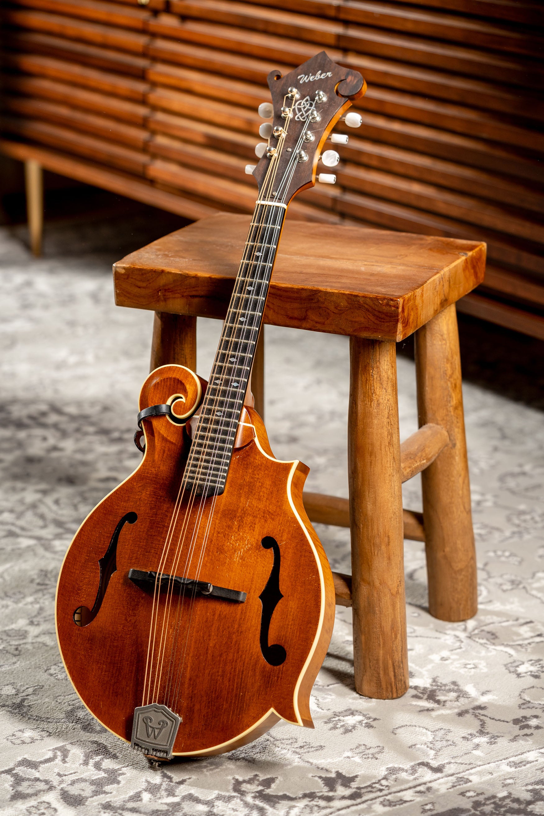 Weber Bitterroot F-14-F Mandolin (2011)