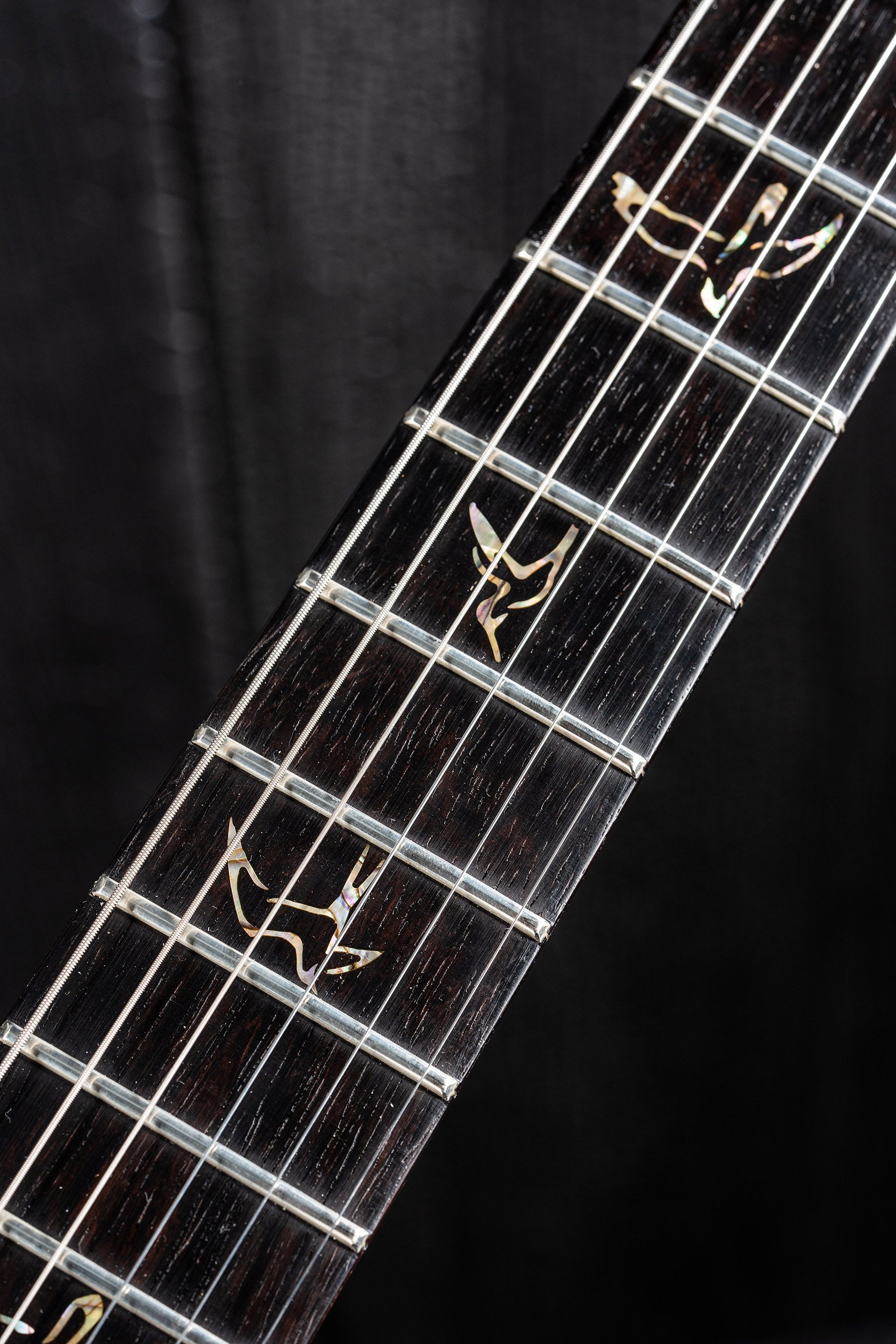 PRS Custom 24 Wood Library 10 Top